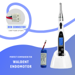 Waldent Battery - Image 4